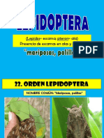14 LEPIDOPTERA - 2.pdf