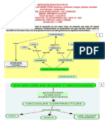 ACTIVIDAD 4 C.N. 14-IV-2020-SIST. EXCRETOR-convertido