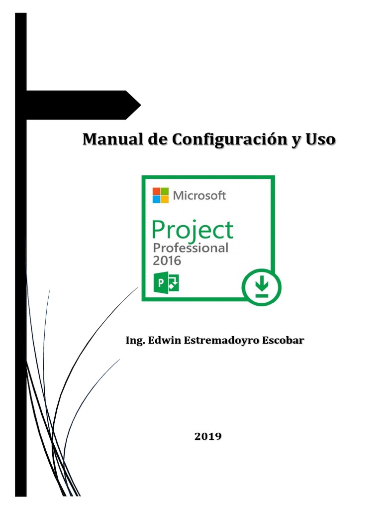 MICROSOFT PROJECT 2019 MANUAL PDF visual data 6