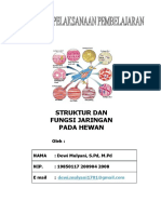 RPP Jaringan Hewan