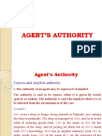 Agent Authority