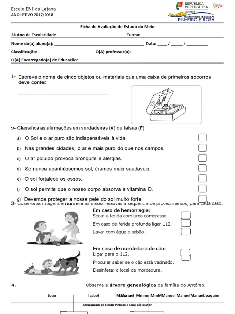 Estudo Do Meio Pdf Bandeira