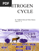 Download Nitrogen Cycles by Siddhant Sethi SN48317899 doc pdf