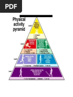 Notes - The Physical Activity Pyramid