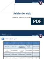 N1L1V2 - Los Principales Formatos Basicos de Internet PDF