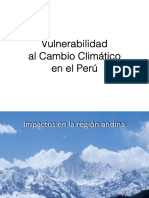 Impactos Andes