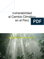 Impactos CC Amazonia