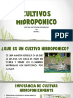 Cultivos Hidroponico