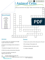 MONDAY (Sept 7th) Crossword Plant-Animal Cell.
