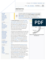 Intercostal Nerves: References Improve Introducing