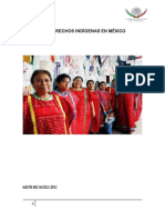 21. LOS DERECHOS DE LOS INDIGENAS.pdf