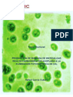 Tipos de microalgas 2.pdf