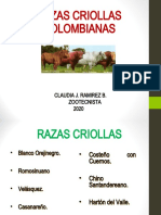 Razas Criollas