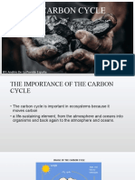The Carbon Cycle: BY: Andrés de La Puente España