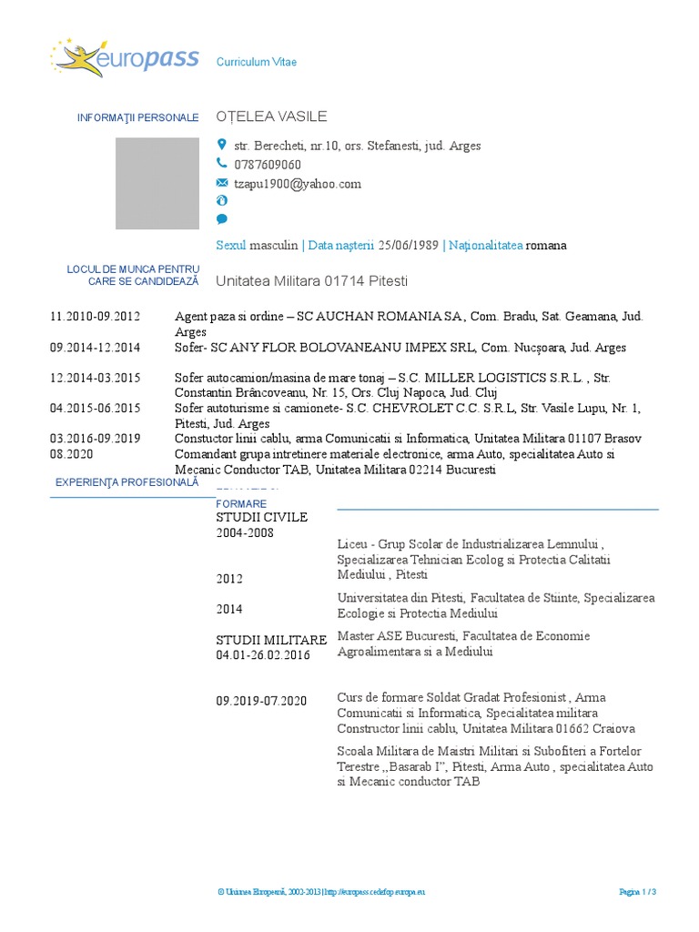 Noul Model - CV - RO | PDF