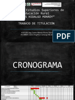 CRONOGRAMA