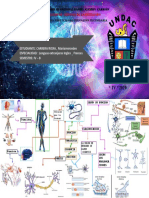 O3 SN CARRERA RICRA Mariamercedes. PDF