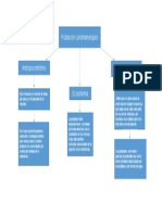 Mapa conceptual