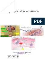 sepsis por infeccion urinaria.pptx