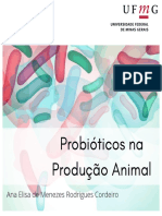 Probióticos Na Produção Animal 