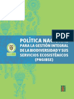 PNGIBSE_español.pdf