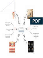 Mapa Mental Metodos Diagnosticos 2