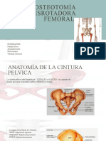 Femur 2