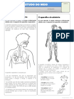 O corpo humano.pdf