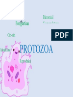 Pengertian Klasifikasi: Protozoa