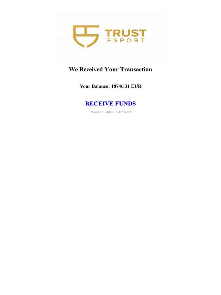 We Received Your Transaction: Receive Funds | PDF