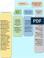 Migracion (Mapa Conceptual)