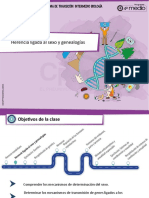 Clase 18 Herencia Ligada Sexo Genealogías