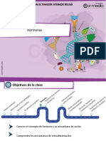 Clase 21 Hormonas