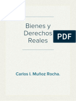 Bienes y Derechos Reales PDF