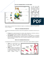 Texto - Guia - Niveles de Organización de Los Seres Vivos - Grado 8° y 9°