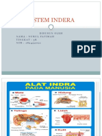 Sistem Indera