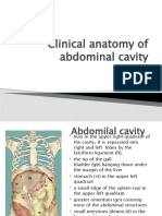 Clinical Anatomy of Abdominal Cavity