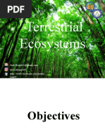 Terrestrial Ecosystems: Moscamuerta03