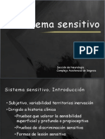 Sistema sensitivo.pdf