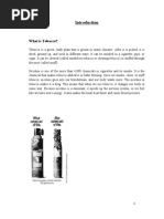 Download increase in smoking habit among youngsters by AMar P SaVla SN48325233 doc pdf