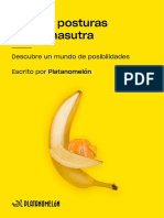 guia-kamasutra-ilustrada-para-no-aburrirse-cama-hetero-new.pdf