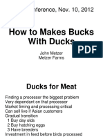 Bucks Ducks
