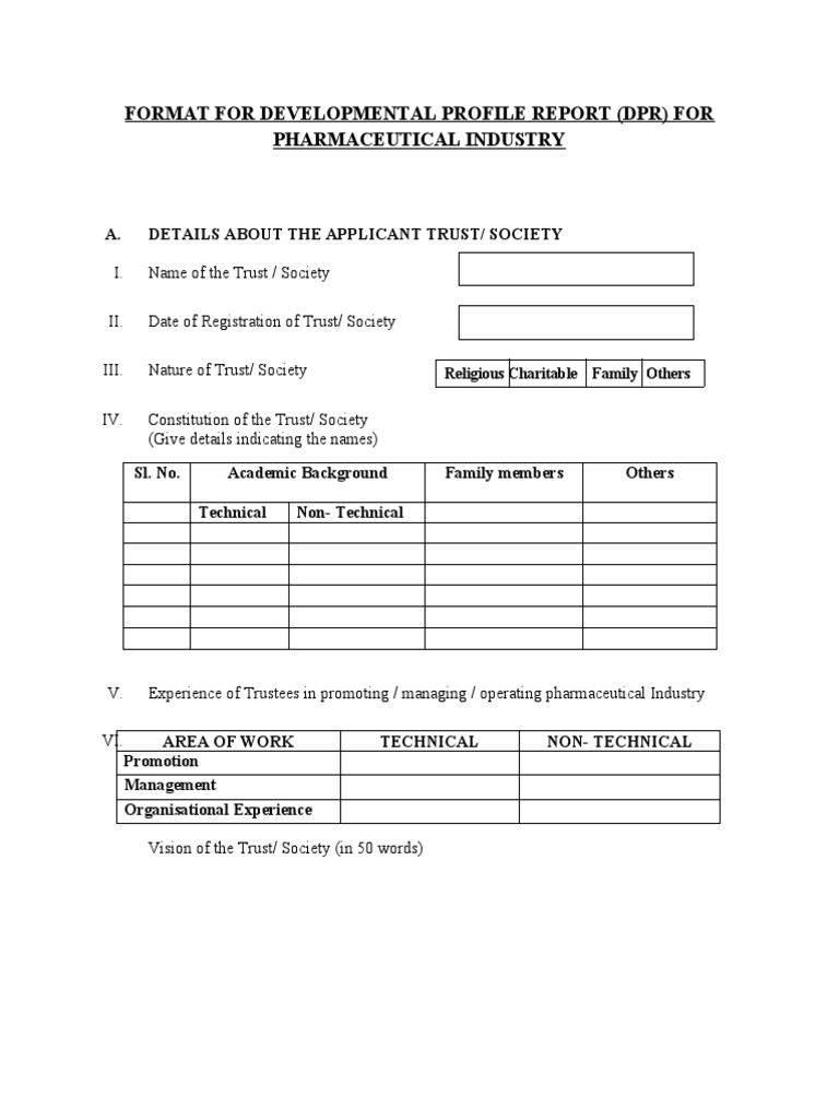 Developmental Profile Report Format | PDF