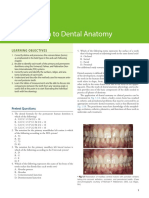 Introduction To Dental Anatomy: Learning Objec Tives