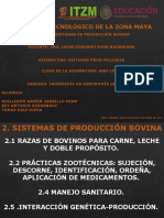 Sistema de Producción Bovina