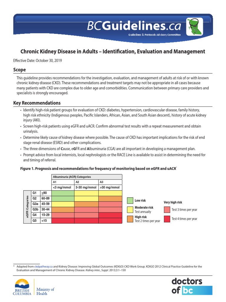 CKD Full Guideline | PDF | Chronic Kidney Disease | Renal Function