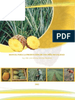 manual_produccion_pia.pdf