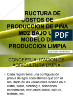 biblioteca_277_Estructura de costos de producción de piña MD2.pdf