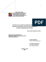 avulsion tesis.pdf
