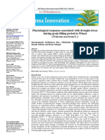 Physiological Responses Associated With Drought Stress During Grain Filling Period in Wheat (Triticum Aestivum L.)